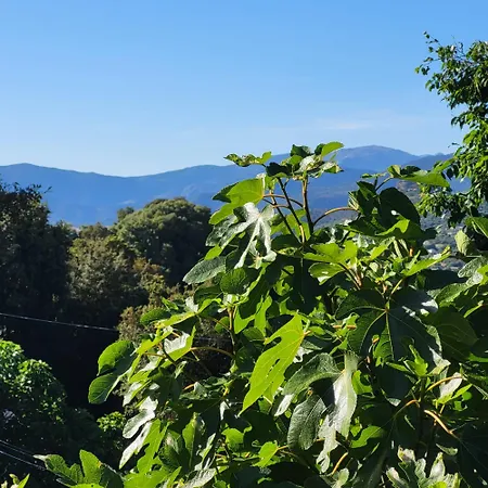 Nature * קלקטוג'יו